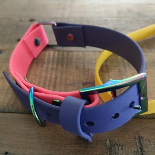 2 Tone Dog Collar