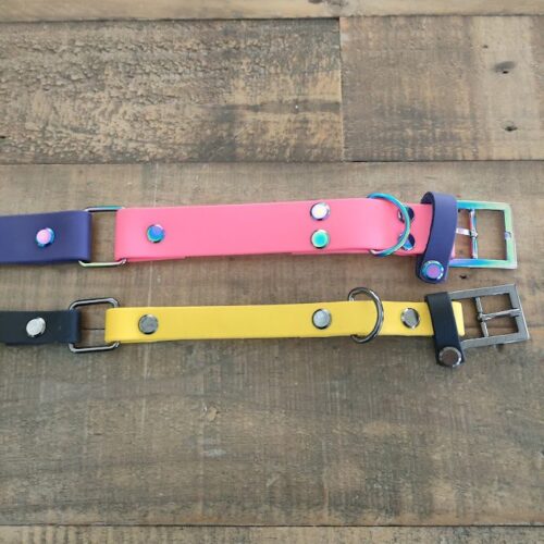 2 Tone Dog Collar