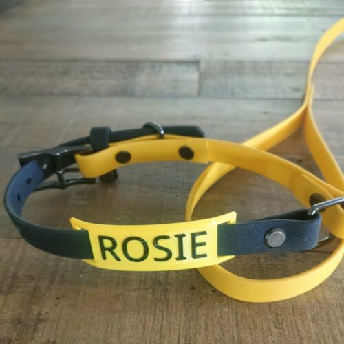 2 Tone Dog Collar